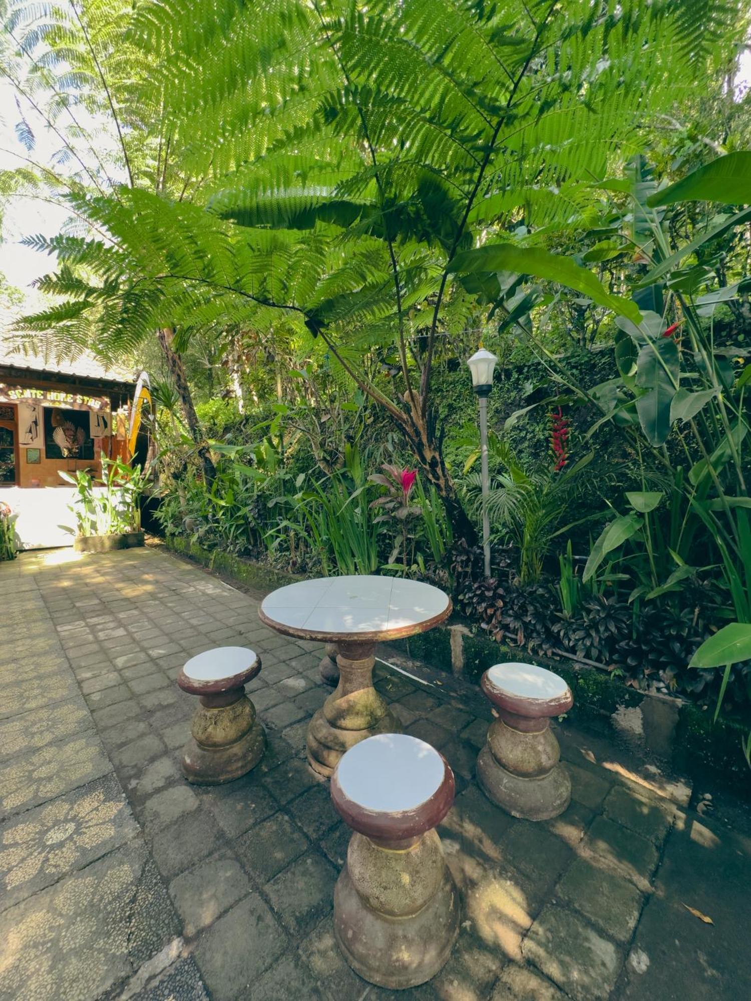 Homestay Sente Munduk  Luaran gambar